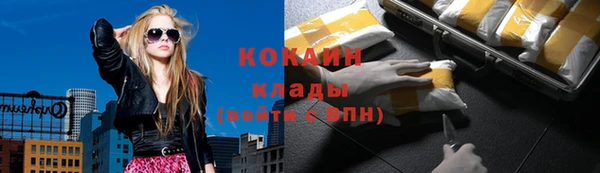 эйфоретик Арсеньев