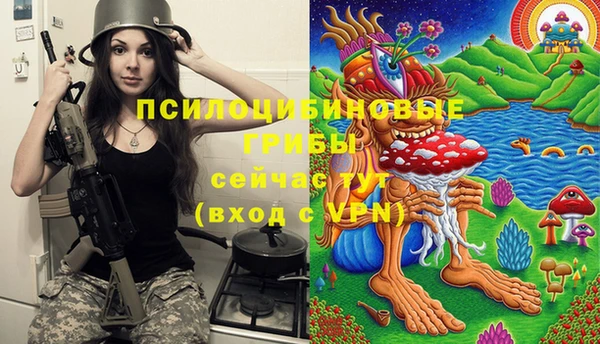 бошки Алексин