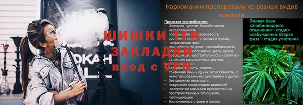 первитин Ельня