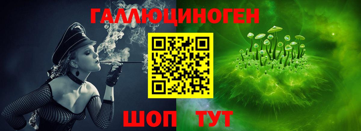 Псилоцибиновые грибы Psilocybe Мирный